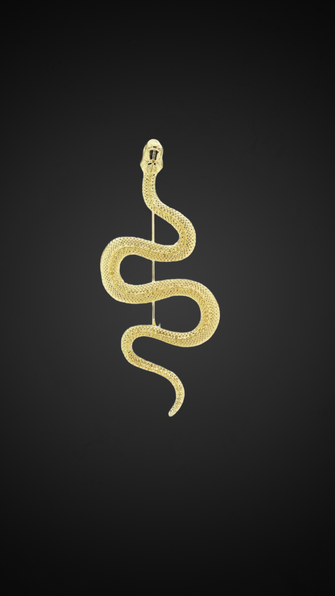 Curved Serpent Brooch