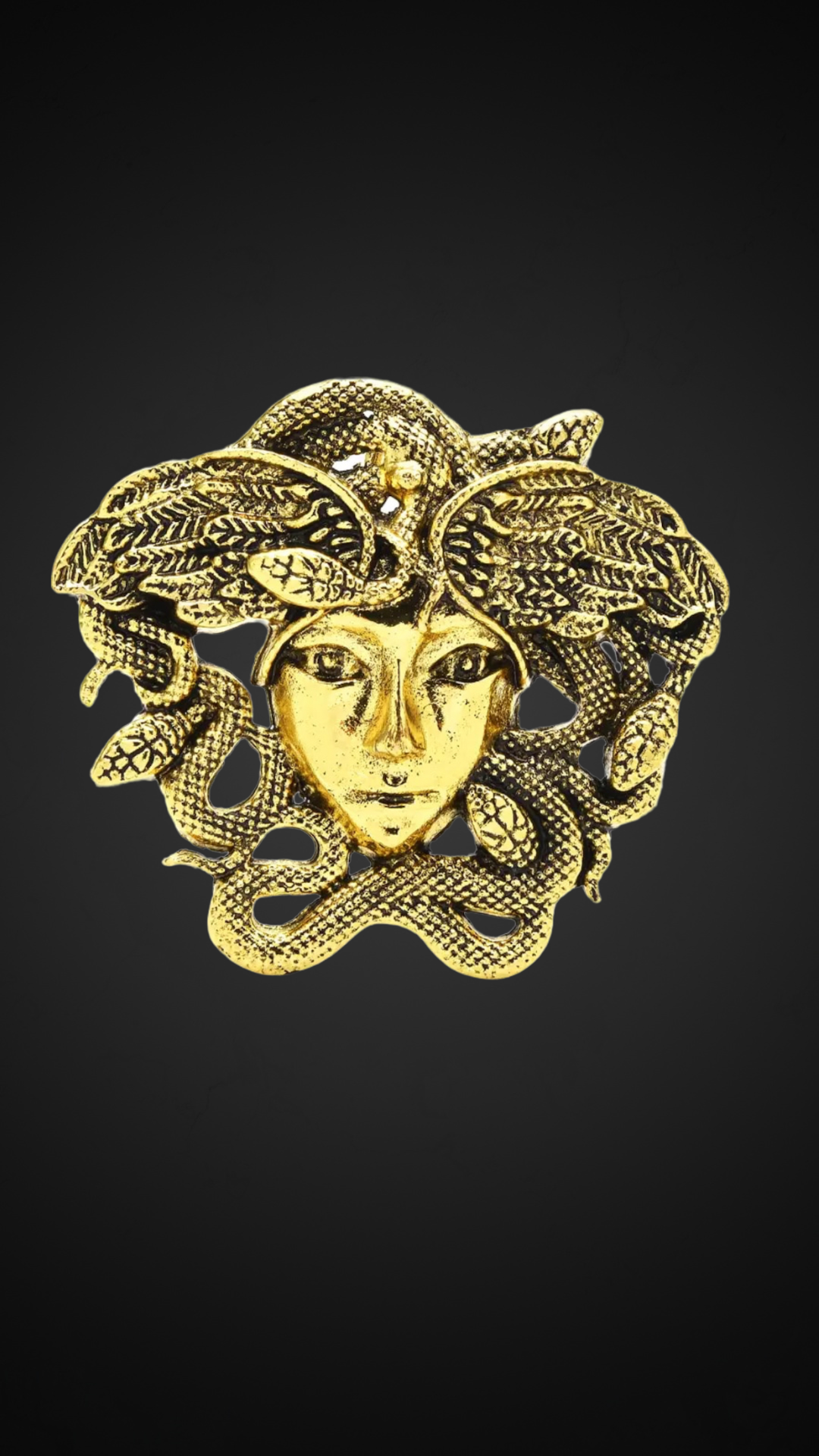 Medusa Brooch